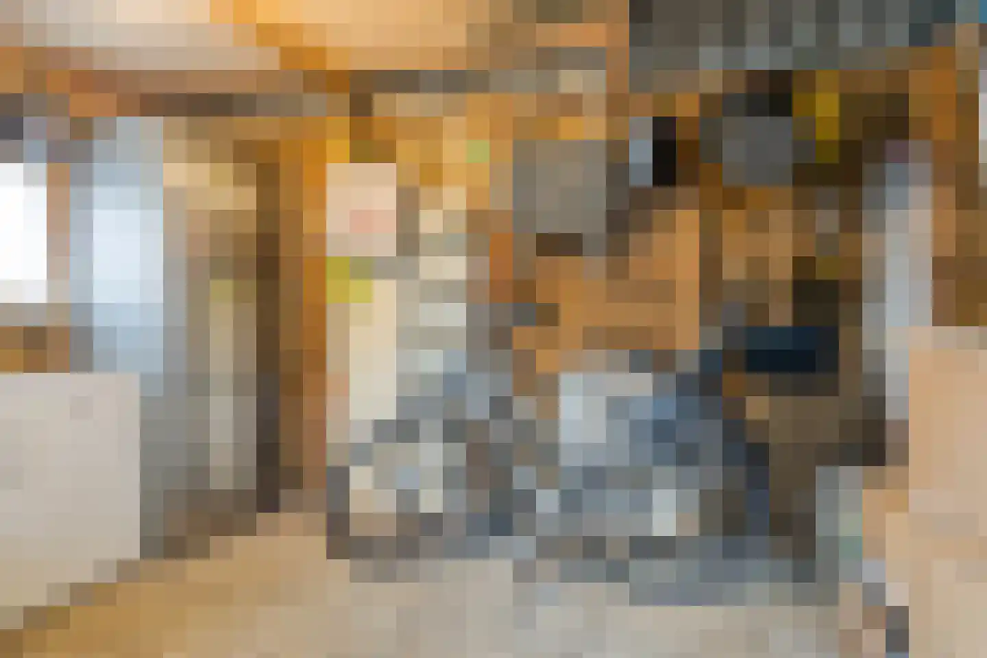 Hoofdstraat 58 Diever thumbnail 38