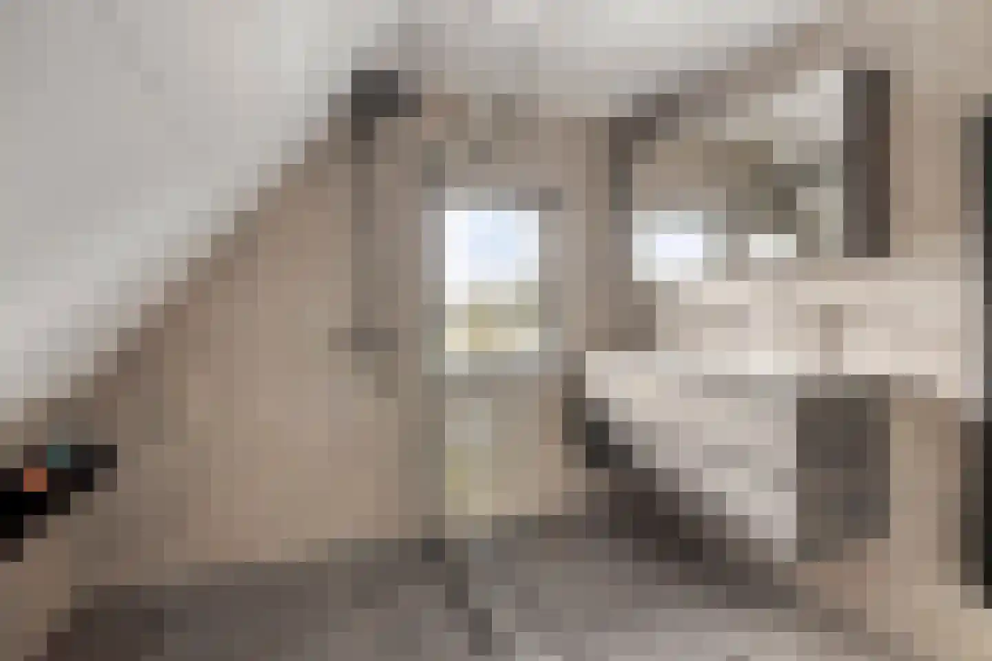 Hoofdstraat 58 Diever thumbnail 38
