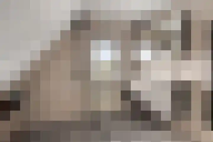 Hoofdstraat 58 Diever thumbnail 38