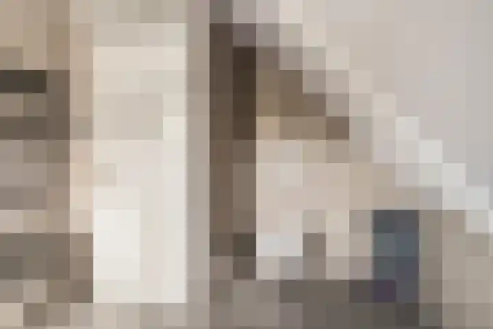 Hoofdstraat 58 Diever thumbnail 39