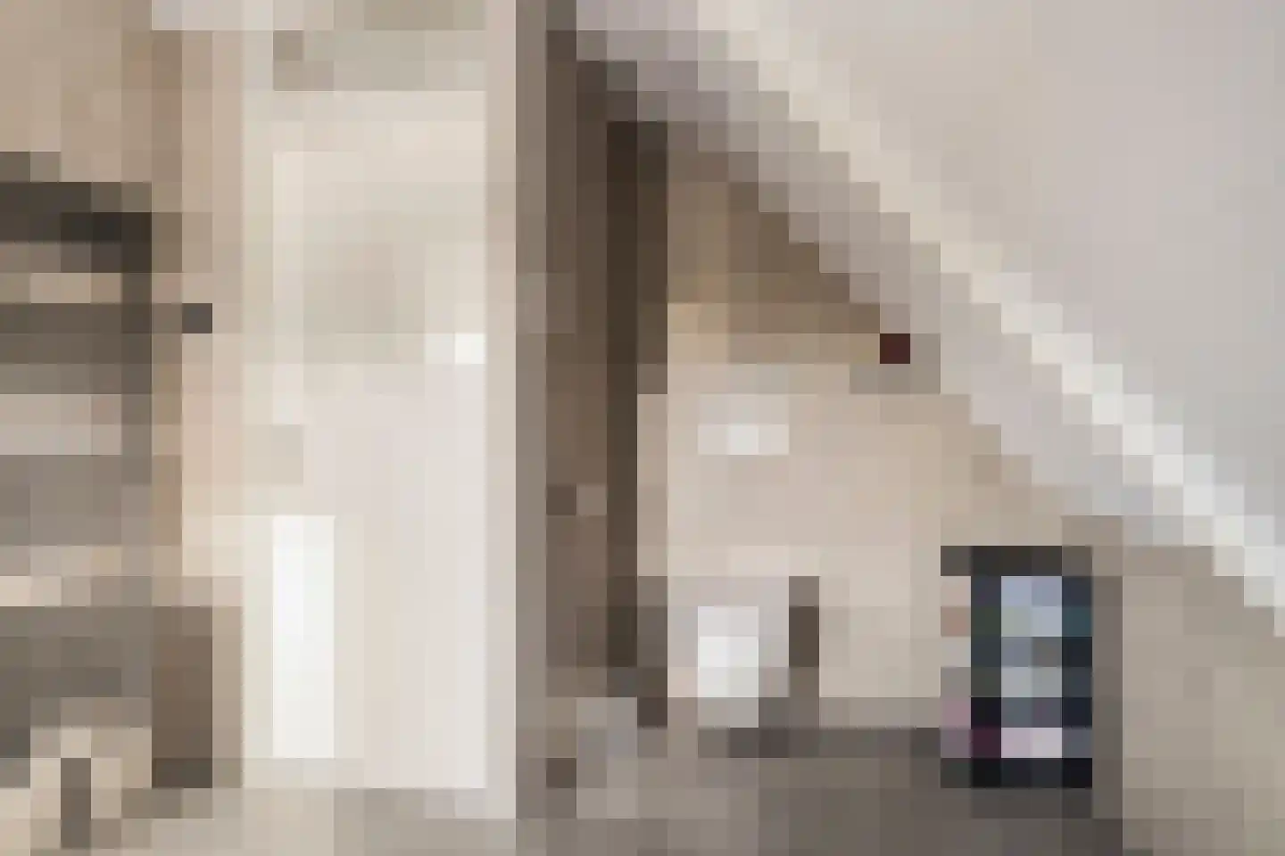 Hoofdstraat 58 Diever thumbnail 39