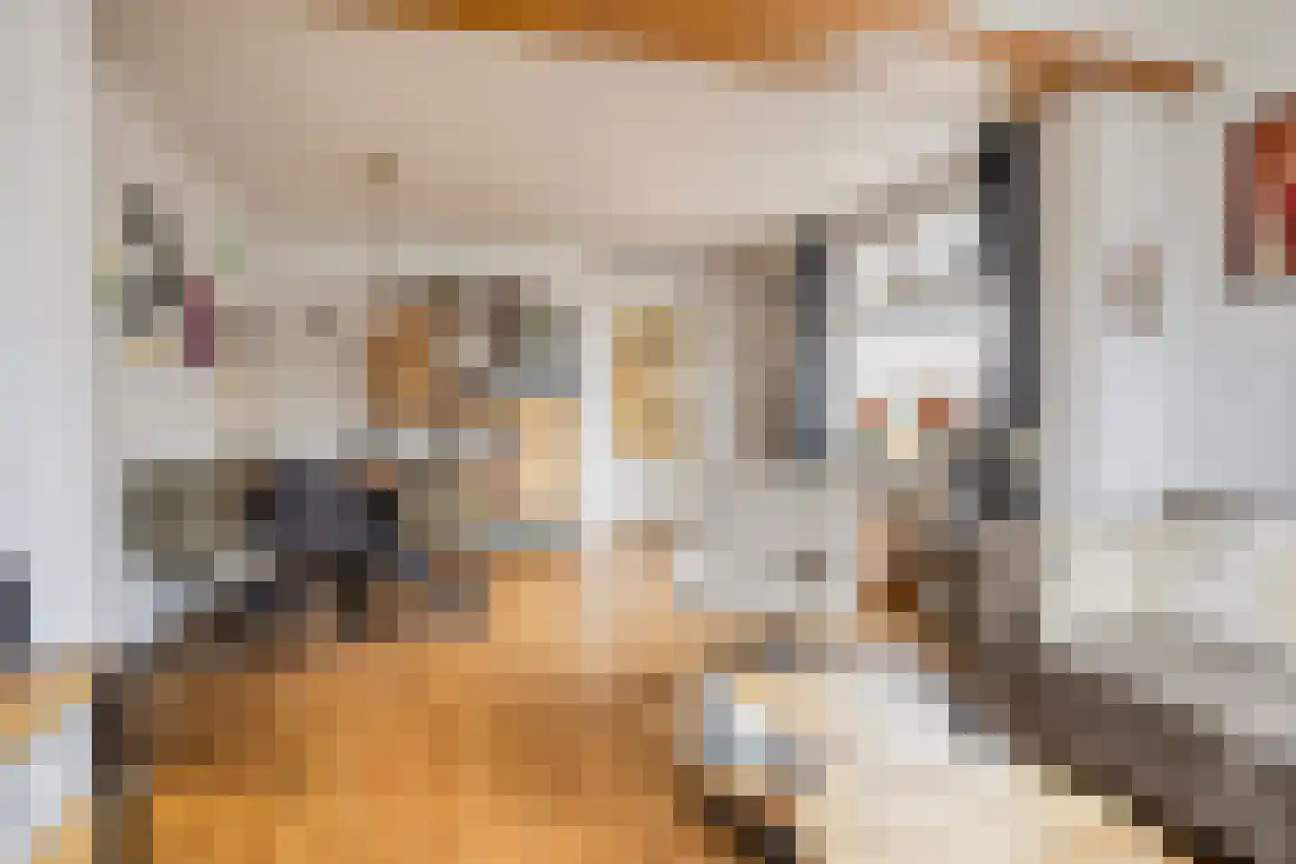 Hoofdstraat 58 Diever thumbnail 5