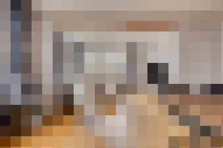 Hoofdstraat 58 Diever thumbnail 6