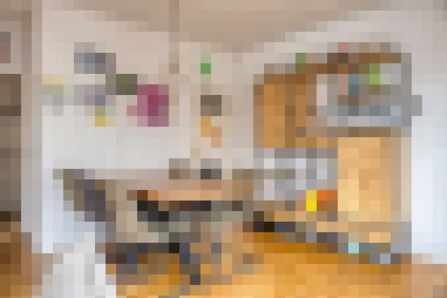 Hoofdstraat 58 Diever thumbnail 6