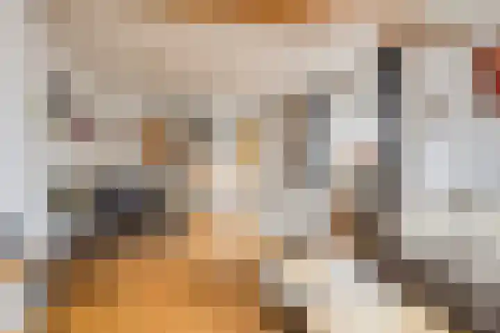 Hoofdstraat 58 Diever thumbnail 7