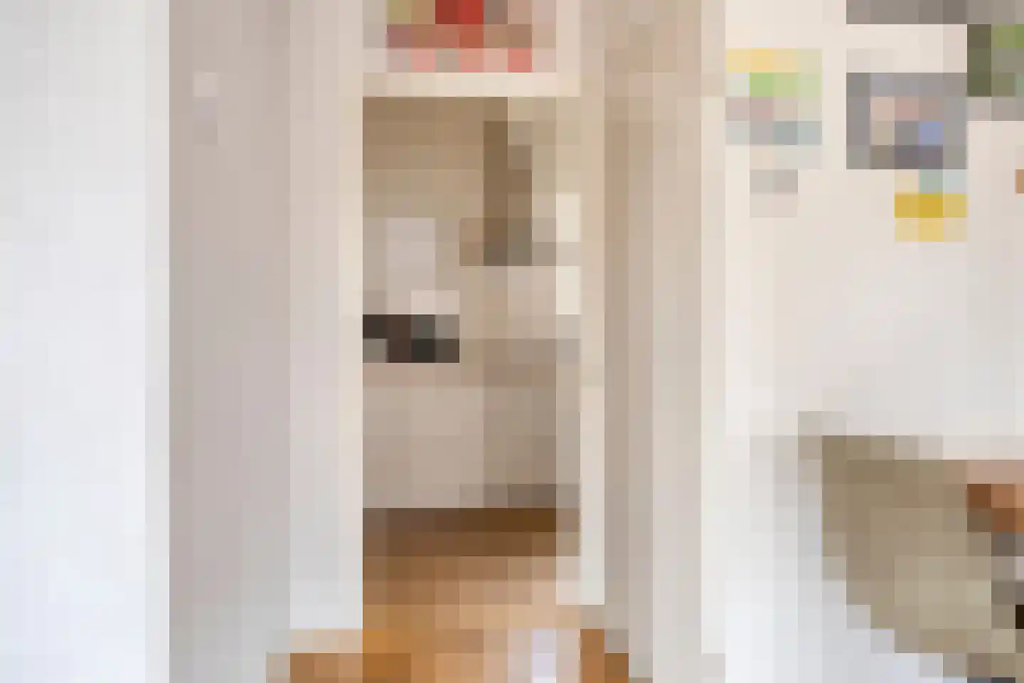 Hoofdstraat 58 Diever thumbnail 7