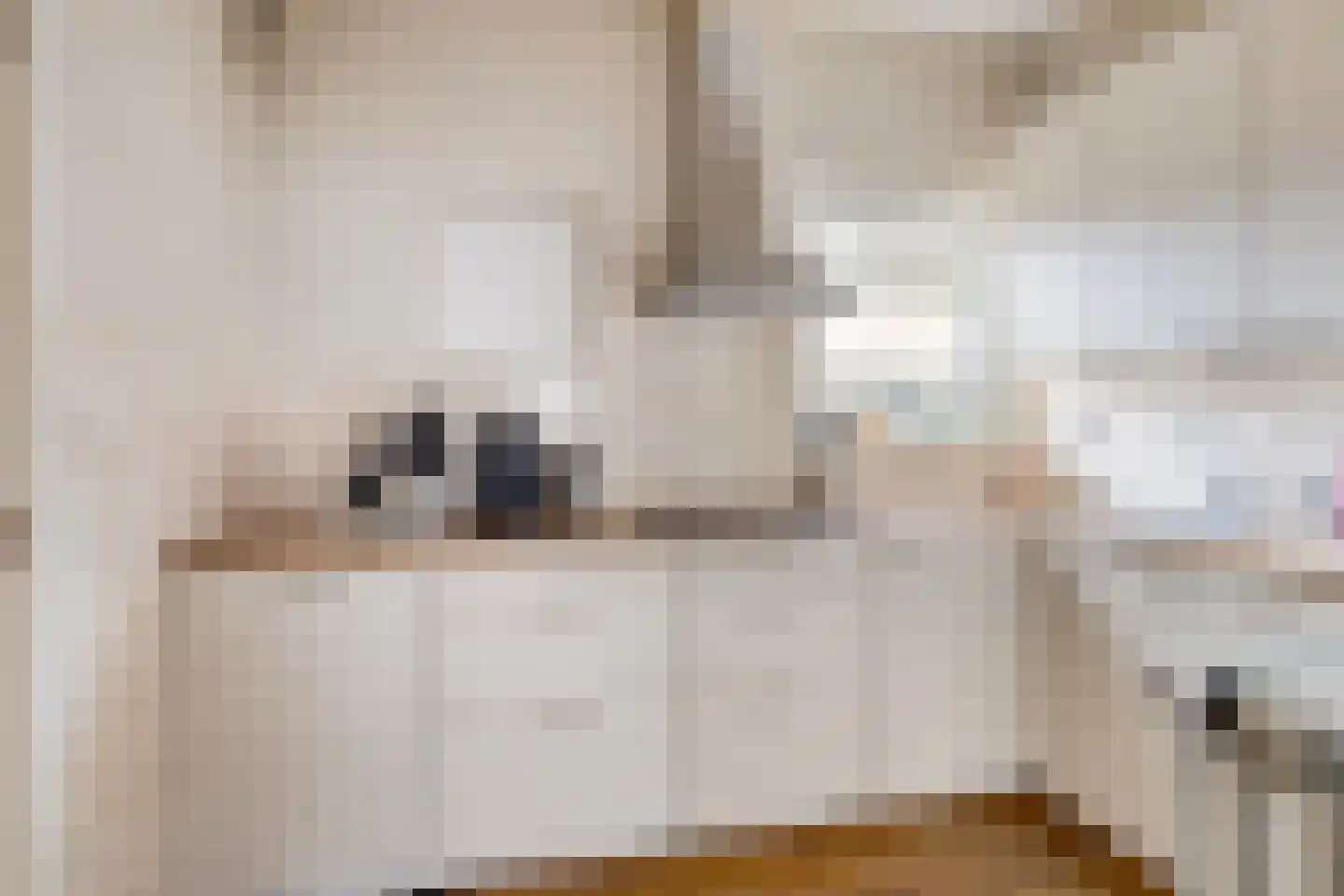 Hoofdstraat 58 Diever thumbnail 8