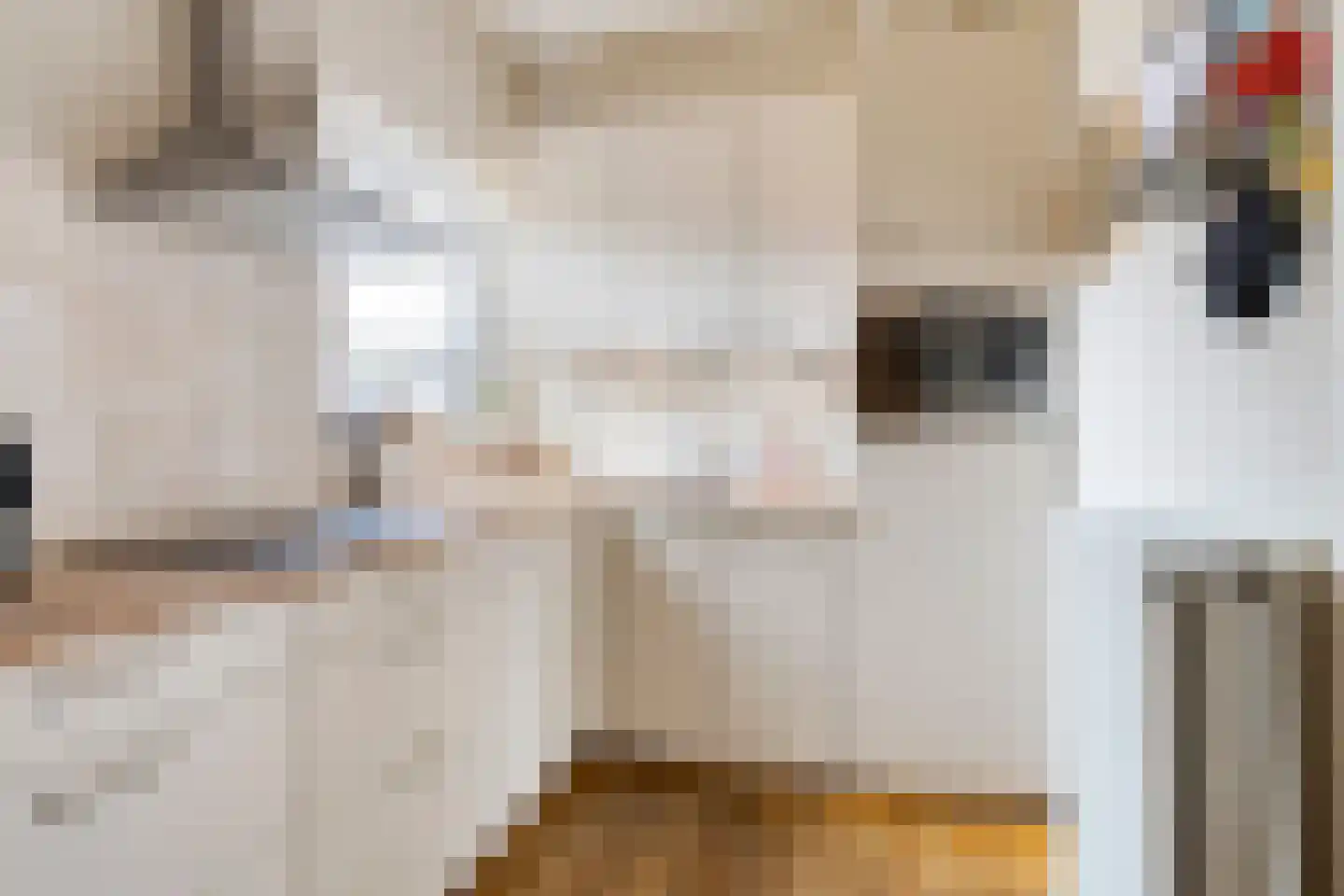 Hoofdstraat 58 Diever thumbnail 9
