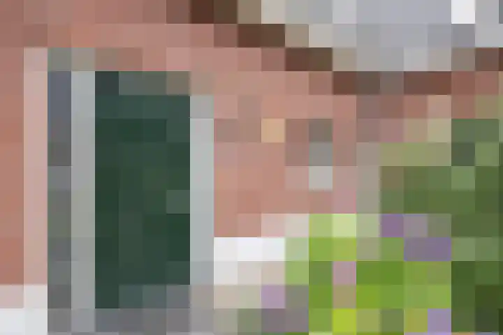 Hoofdstraat 58 Vroomshoop thumbnail 11