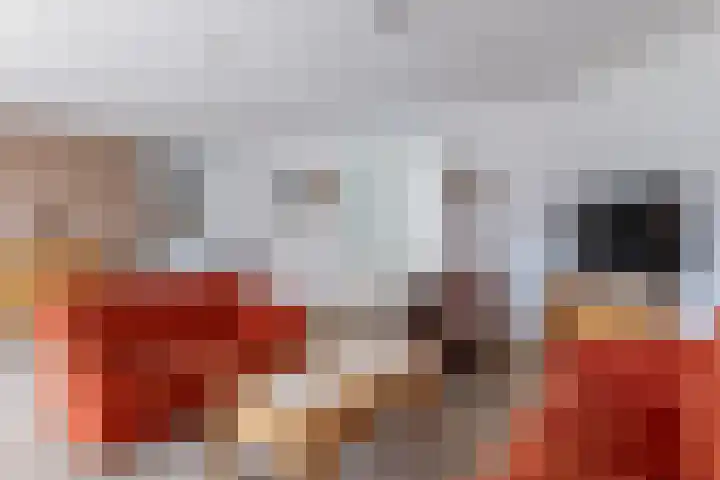 Hoofdstraat 58 Vroomshoop thumbnail 13