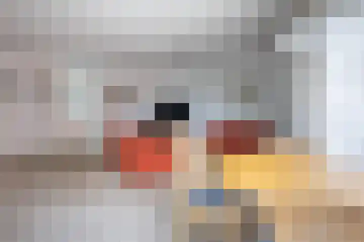Hoofdstraat 58 Vroomshoop thumbnail 16