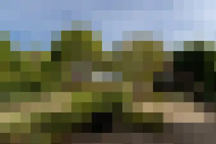 Hoofdstraat 58 Vroomshoop thumbnail 21