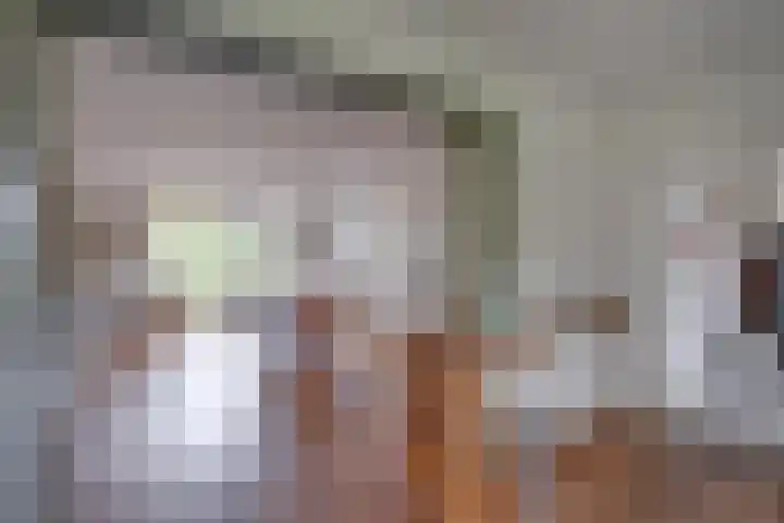 Hoofdstraat 58 Vroomshoop thumbnail 23