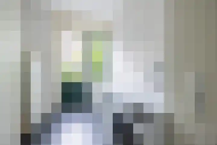 Hoofdstraat 58 Vroomshoop thumbnail 27