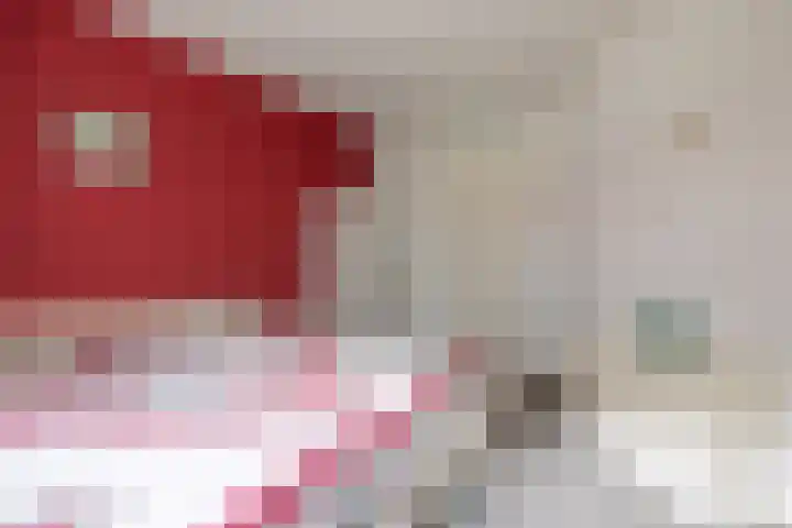 Hoofdstraat 58 Vroomshoop thumbnail 34