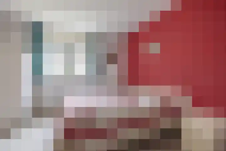 Hoofdstraat 58 Vroomshoop thumbnail 36