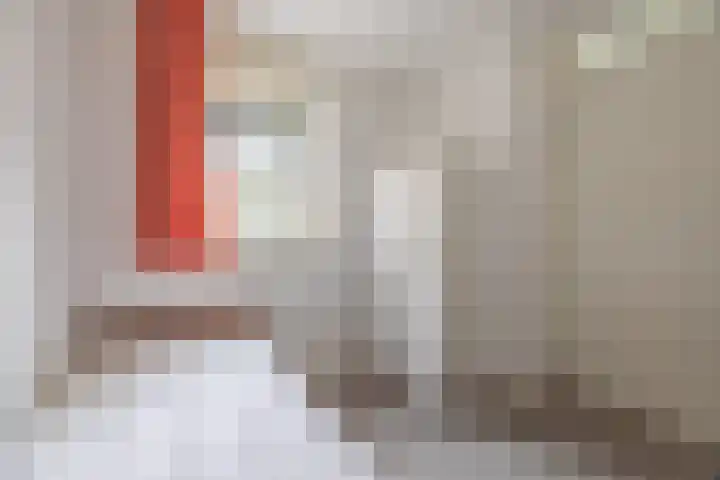 Hoofdstraat 58 Vroomshoop thumbnail 38