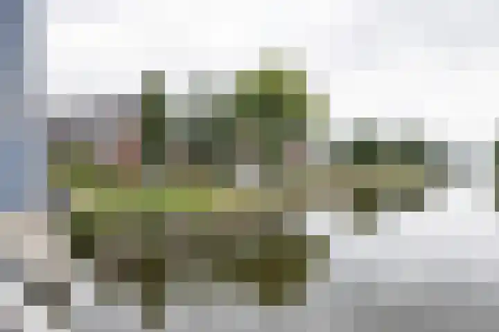 Hoofdstraat 58 Vroomshoop thumbnail 4