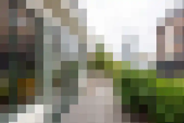 Hoofdstraat 58 Vroomshoop thumbnail 41