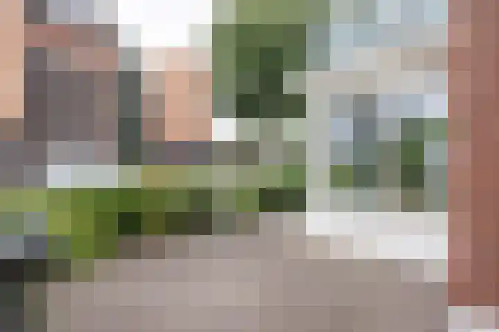 Hoofdstraat 58 Vroomshoop thumbnail 45