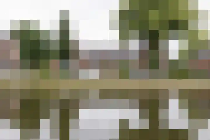Hoofdstraat 58 Vroomshoop thumbnail 47