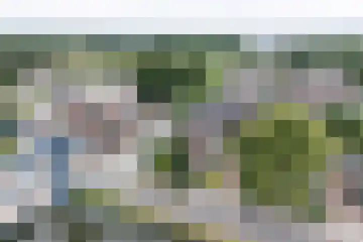 Hoofdstraat 58 Vroomshoop thumbnail 48