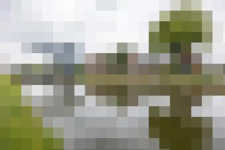 Hoofdstraat 58 Vroomshoop thumbnail 49