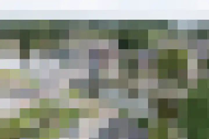Hoofdstraat 58 Vroomshoop thumbnail 5