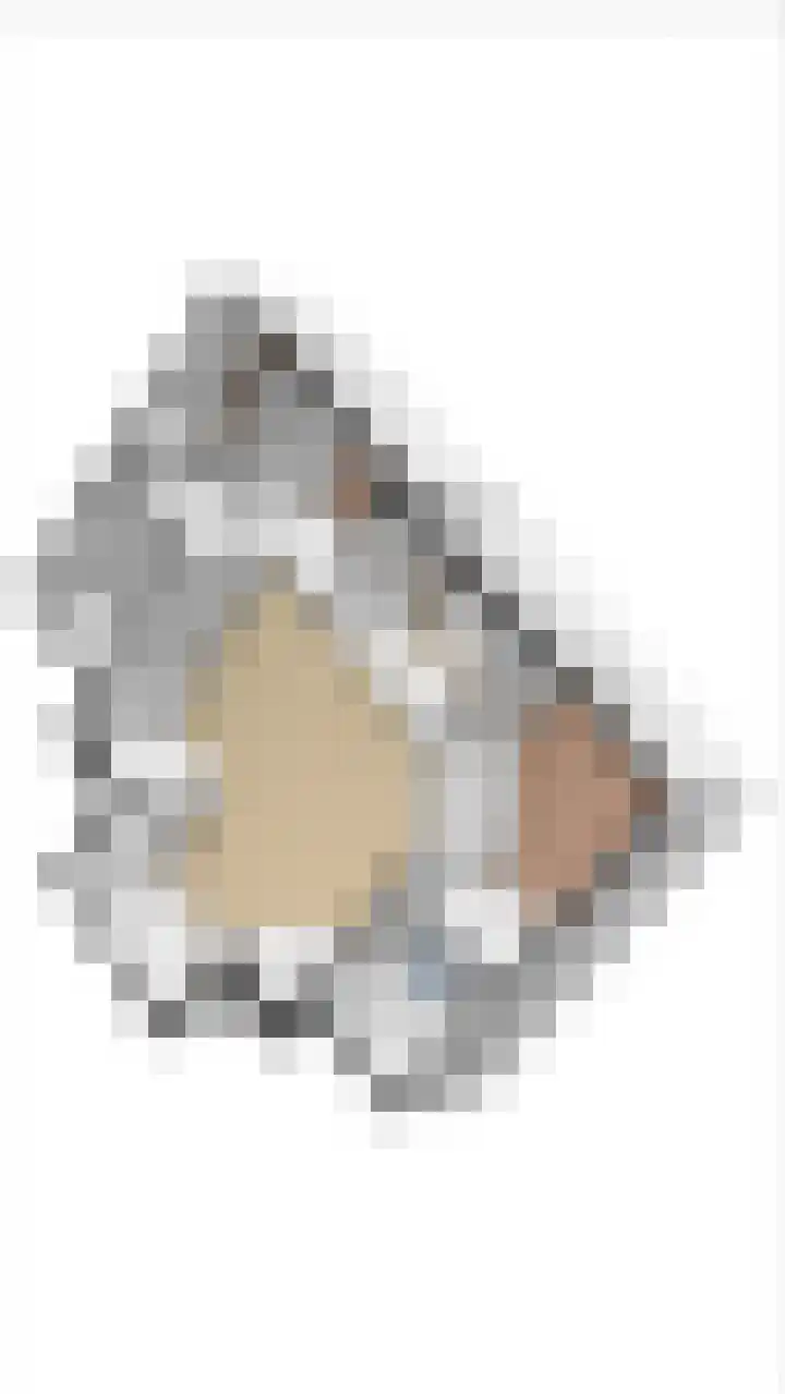Hoofdstraat 58 Vroomshoop thumbnail 51