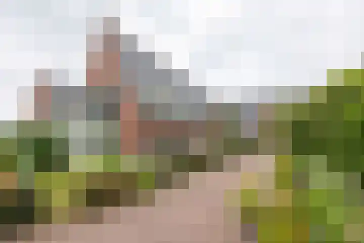Hoofdstraat 58 Vroomshoop thumbnail 54