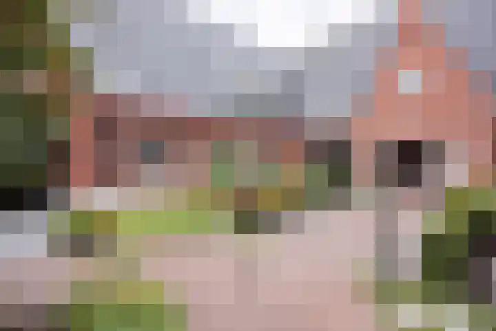 Hoofdstraat 58 Vroomshoop thumbnail 8