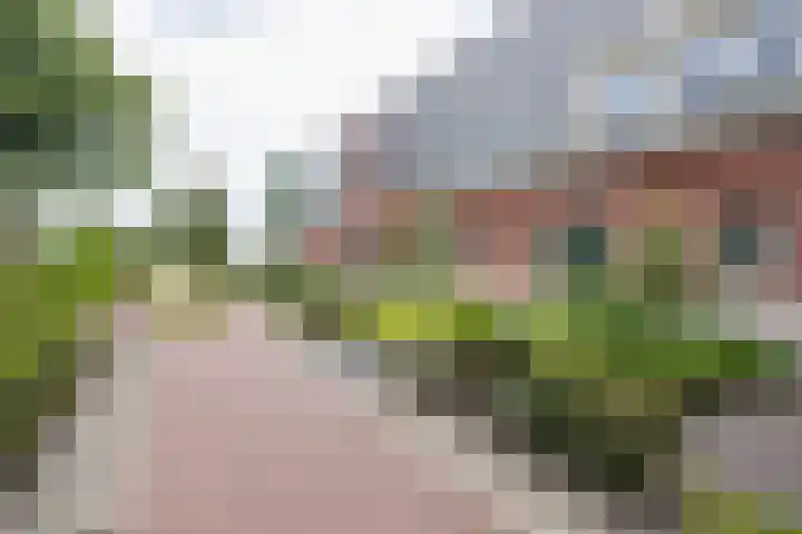 Hoofdstraat 58 Vroomshoop thumbnail 9