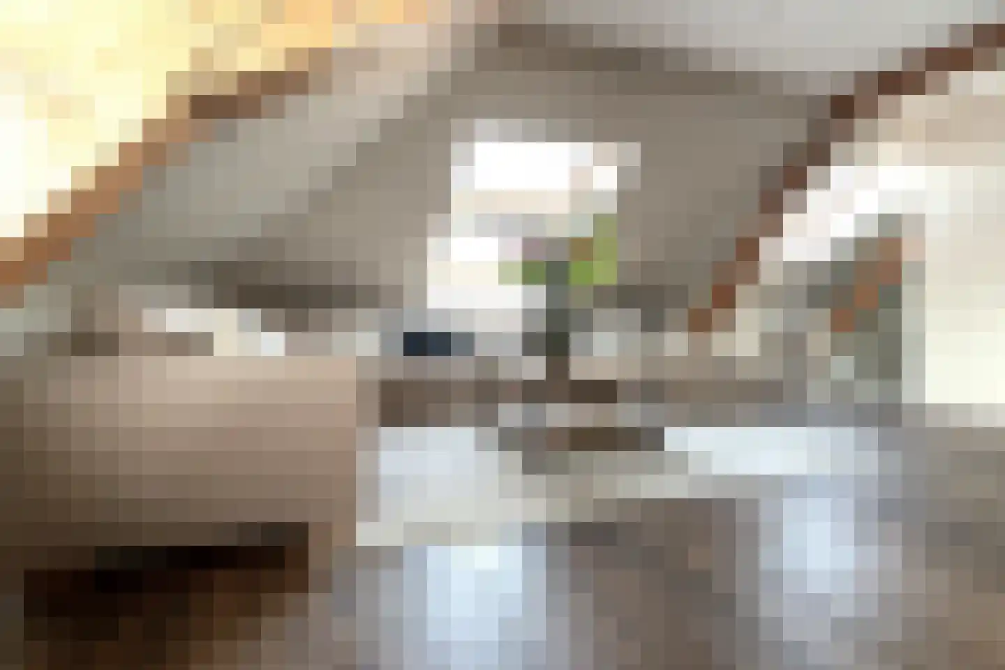 Hoofdstraat 59 A Tolkamer thumbnail 21
