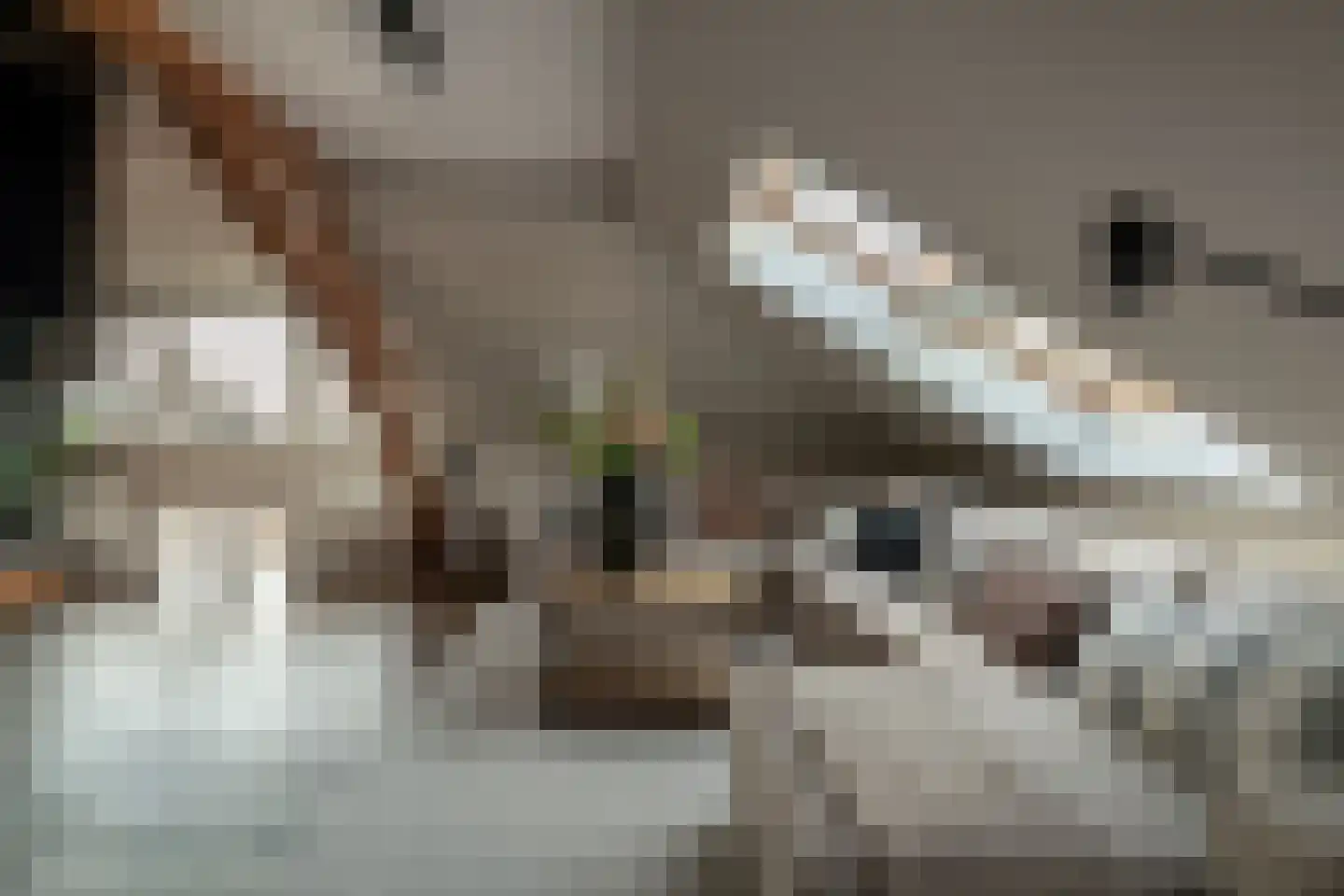Hoofdstraat 59 A Tolkamer thumbnail 37