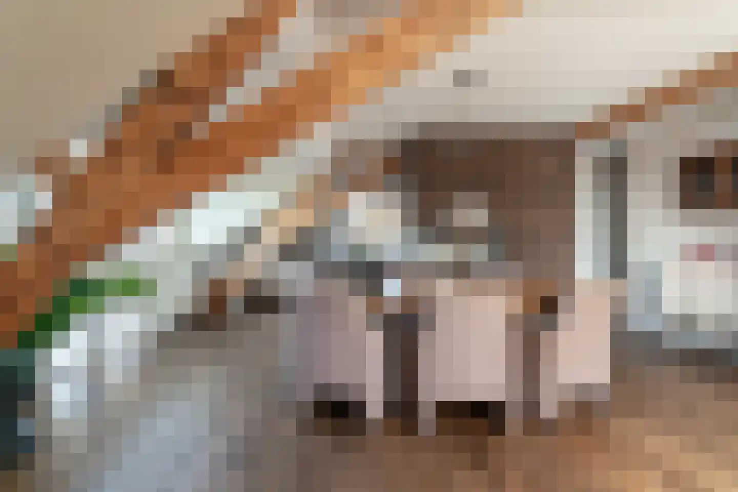 Hoofdstraat 59 A Tolkamer thumbnail 40