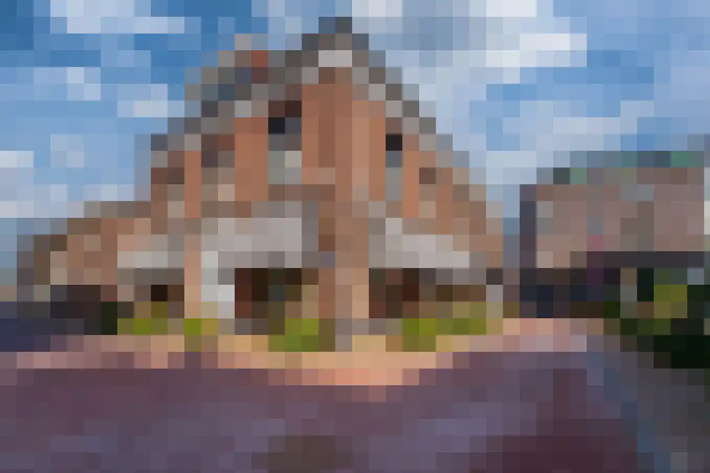 Hoofdstraat 59 A Tolkamer thumbnail 6