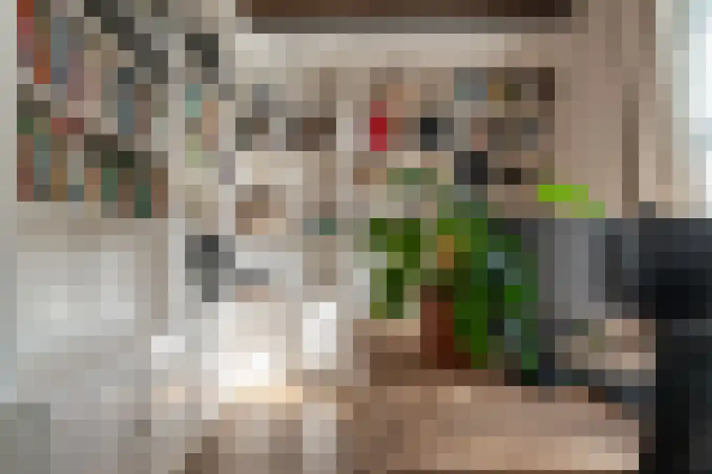 Hoofdstraat 59 A Tolkamer thumbnail 9