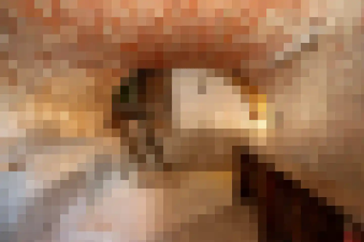 Hoofdstraat 59 Hoogeloon thumbnail 10