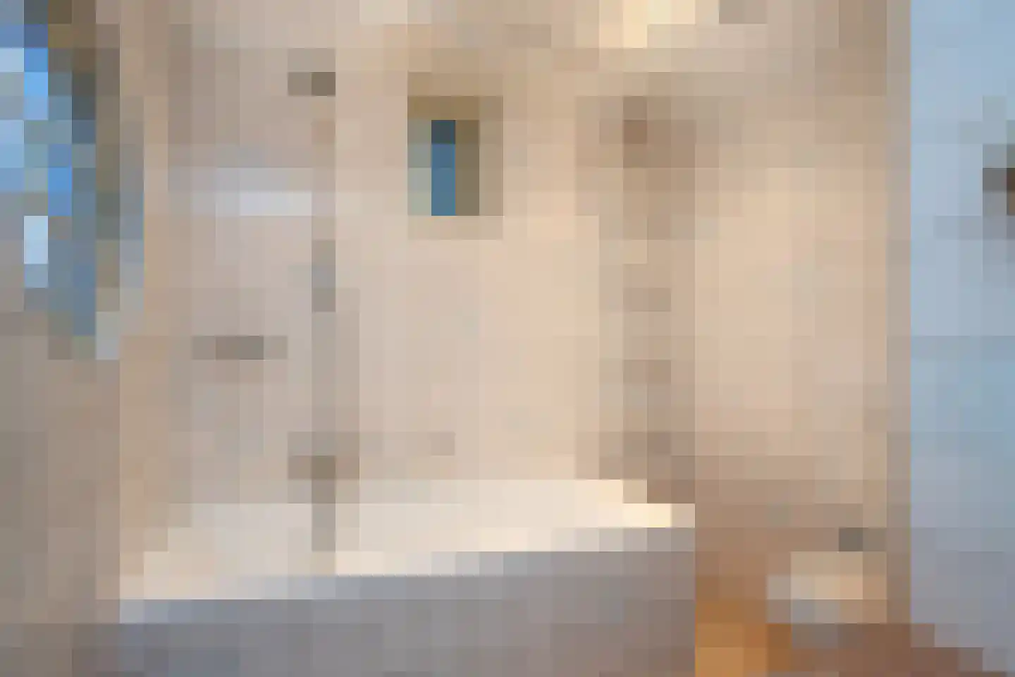 Hoofdstraat 59 Hoogeloon thumbnail 19