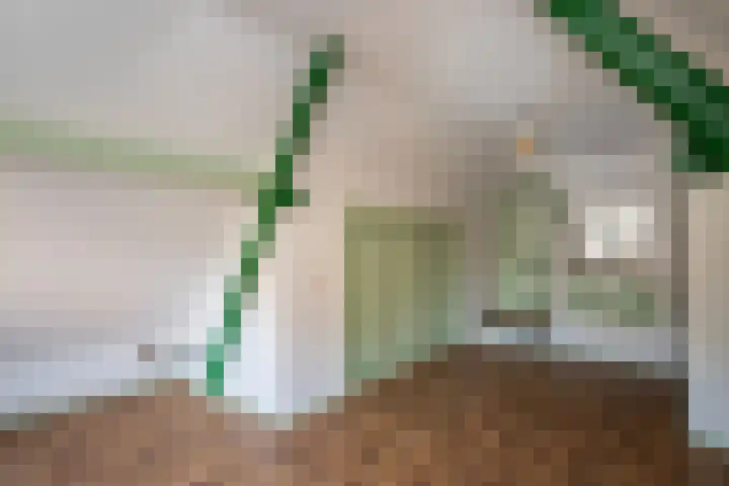 Hoofdstraat 59 Hoogeloon thumbnail 27