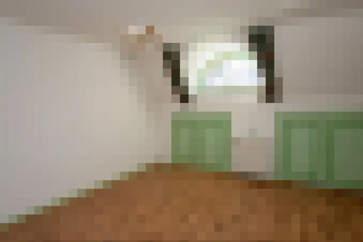 Hoofdstraat 59 Hoogeloon thumbnail 30