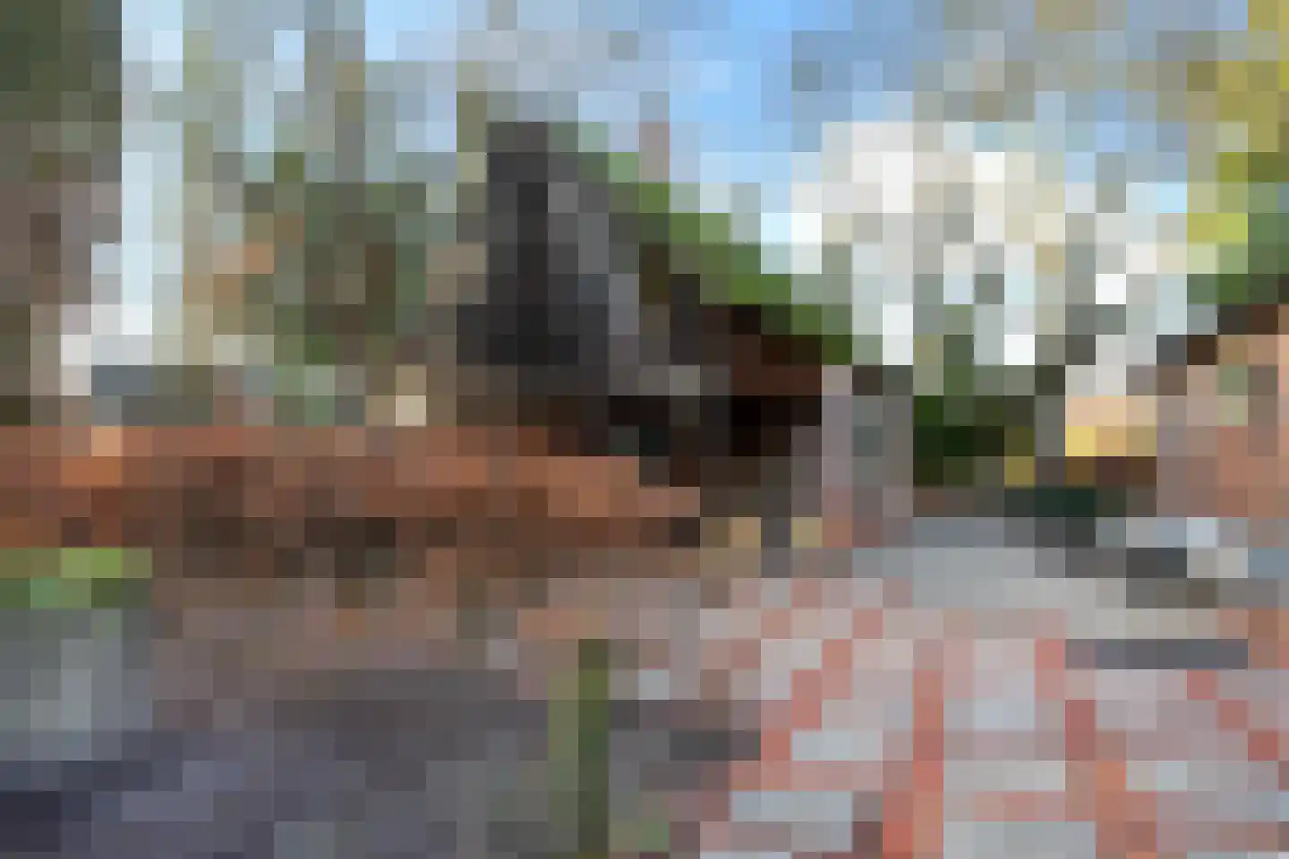 Hoofdstraat 59 Hoogeloon thumbnail 37