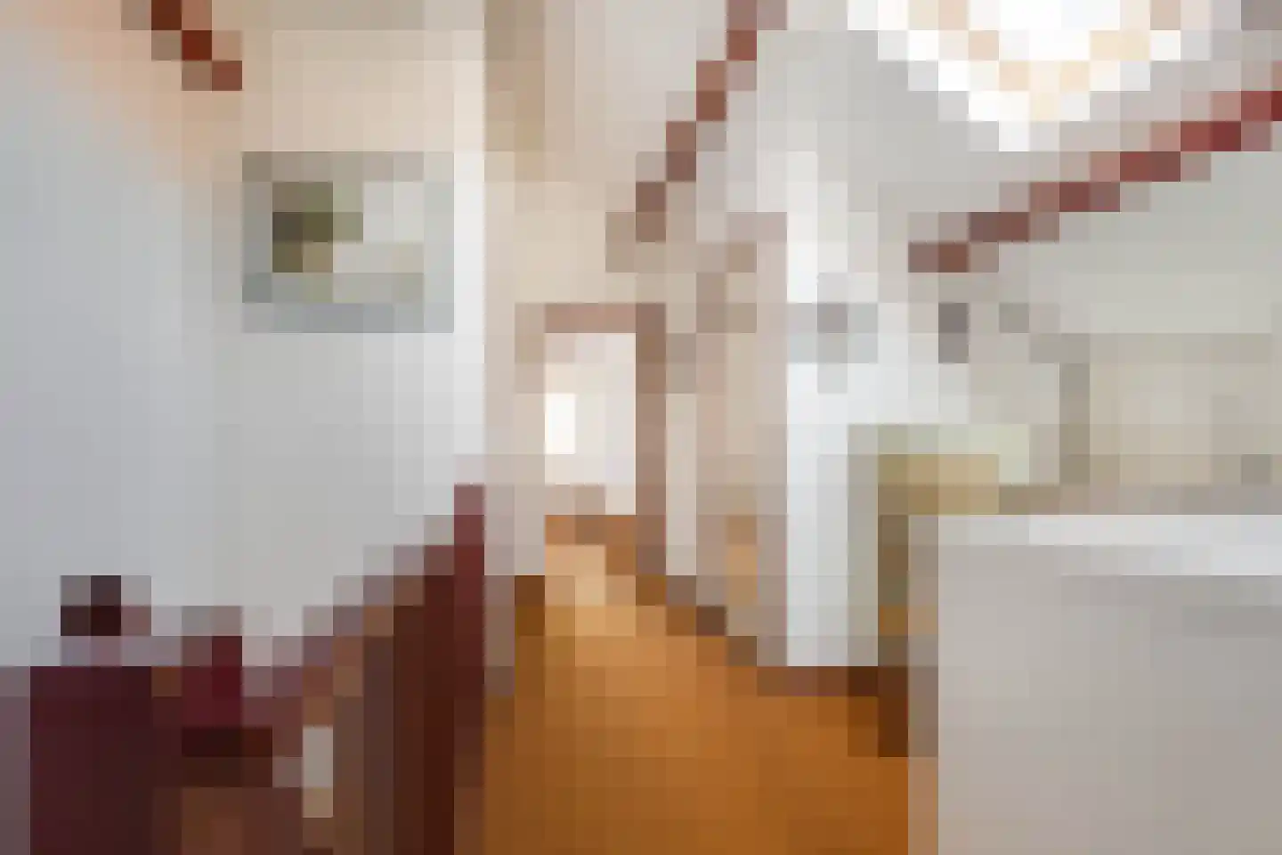 Hoofdstraat 59 Schimmert thumbnail 25