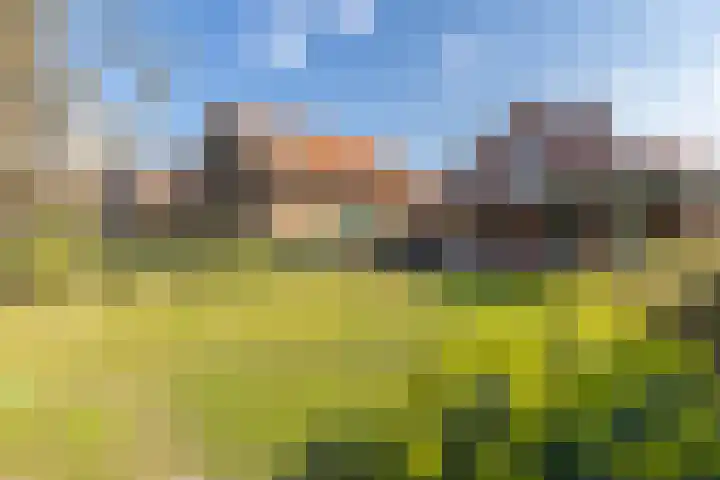 Hoofdstraat 59 Schimmert thumbnail 6
