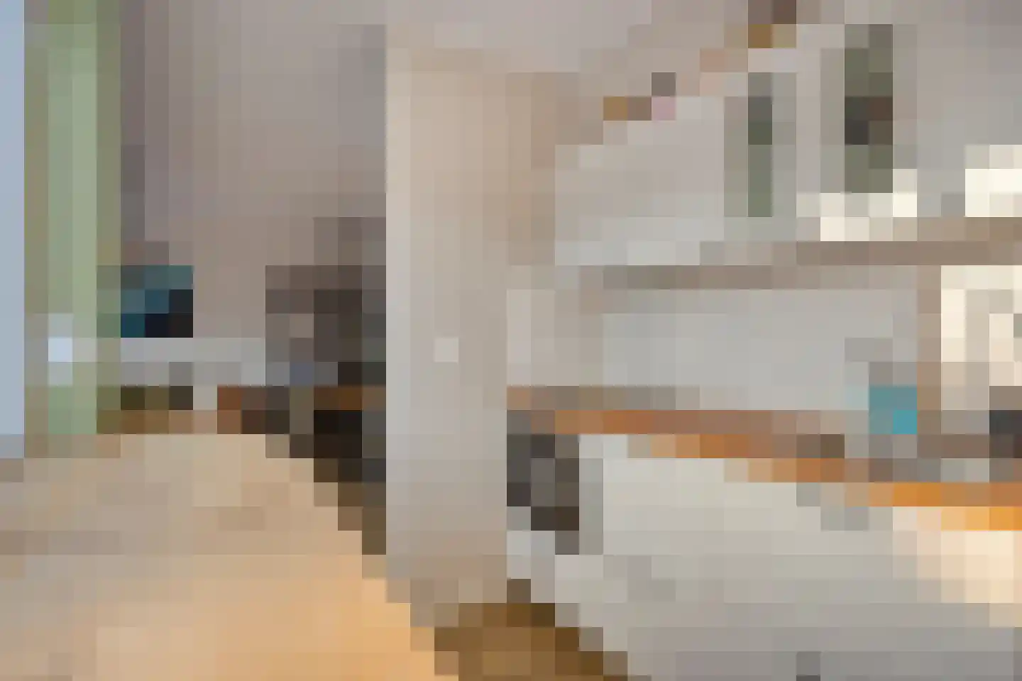Hoofdstraat 59 Terheijden thumbnail 14