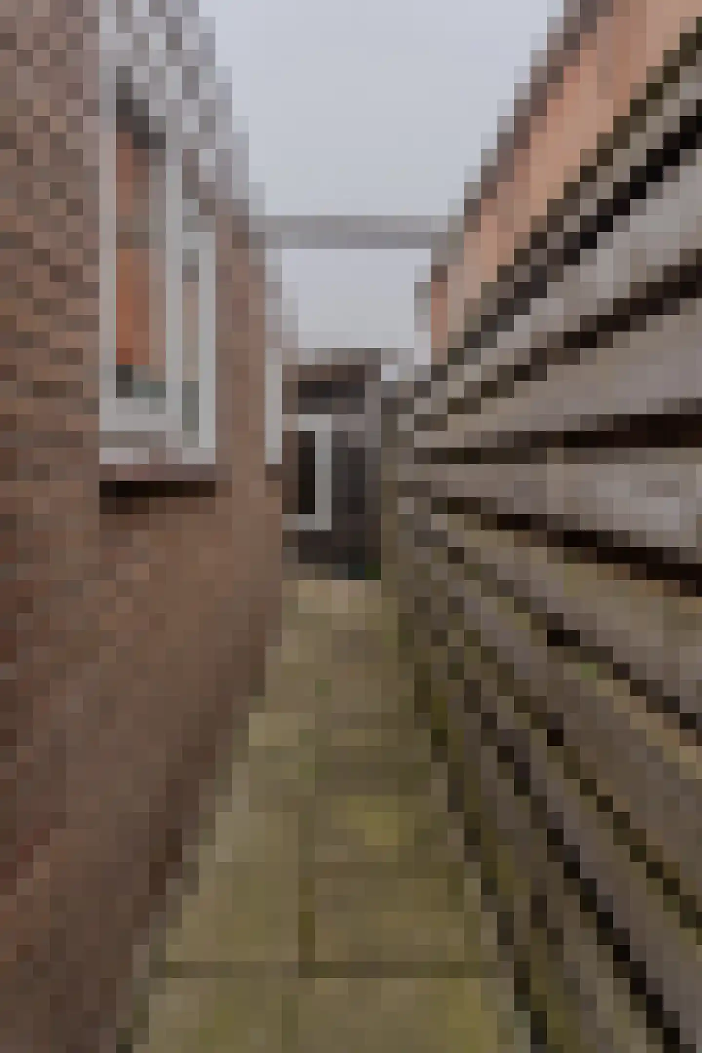 Hoofdstraat 59 Wolphaartsdijk thumbnail 49