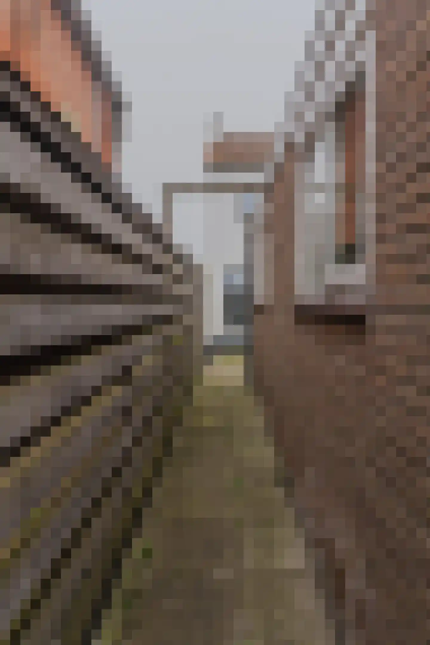 Hoofdstraat 59 Wolphaartsdijk thumbnail 50