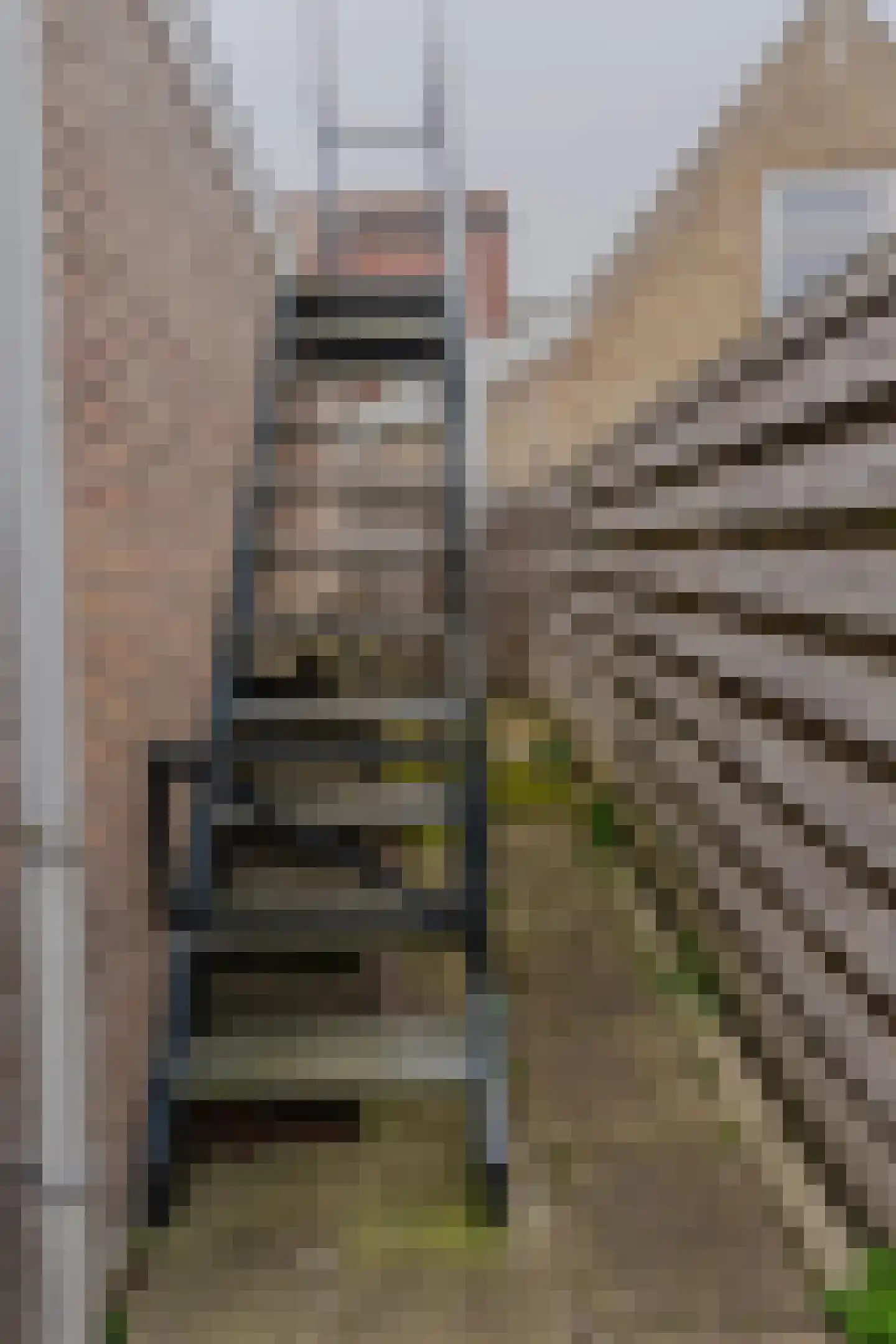 Hoofdstraat 59 Wolphaartsdijk thumbnail 56