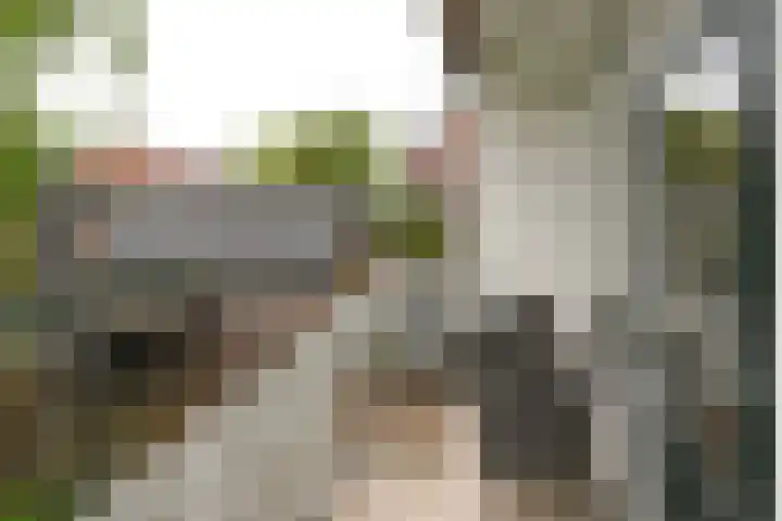 Hoofdstraat 6 A Baarn thumbnail 5
