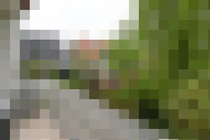 Hoofdstraat 6 A Baarn thumbnail 6